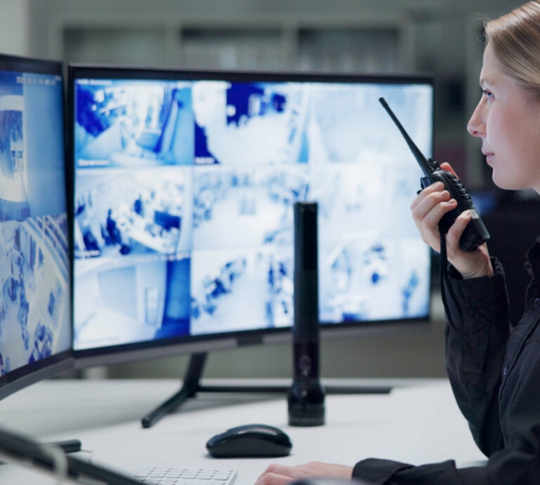 Remote video monitoring